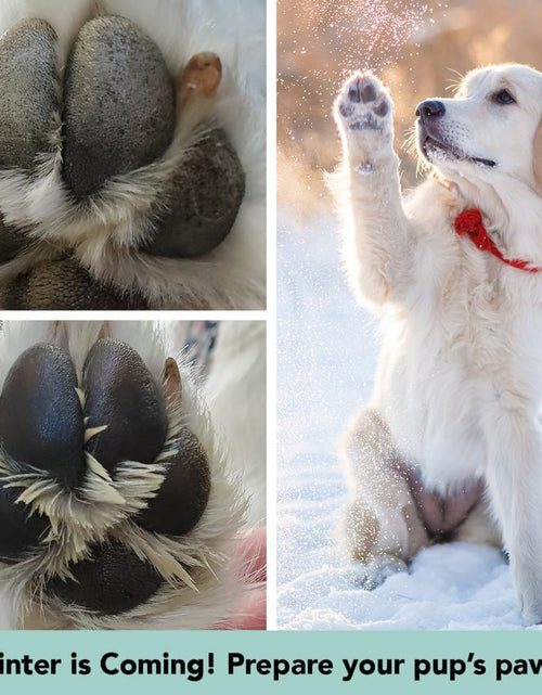 Load image into Gallery viewer, Pawtection Dog Paw Balm, Protects Paws from Hot Surfaces, Sand, Salt, &amp; Snow, Organic, All Natural Ingredients
