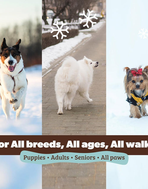 Load image into Gallery viewer, Pawtection Dog Paw Balm, Protects Paws from Hot Surfaces, Sand, Salt, &amp; Snow, Organic, All Natural Ingredients
